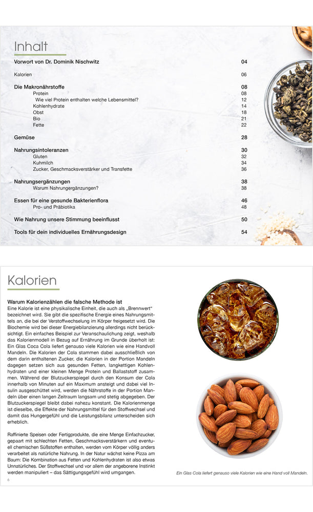 
                  
                    Nutritional design 2.0 brochure digital (Dr. Nischwitz)
                  
                
